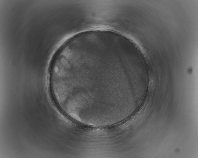 X0000116791414201001151052