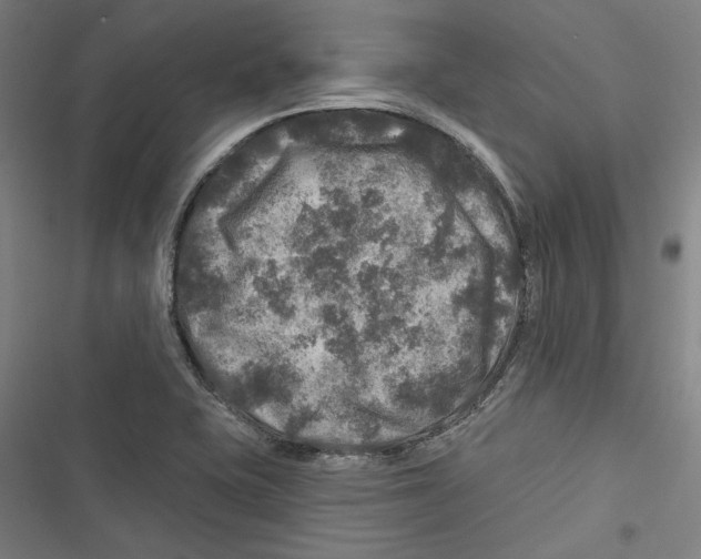 X0000116791415201001151052