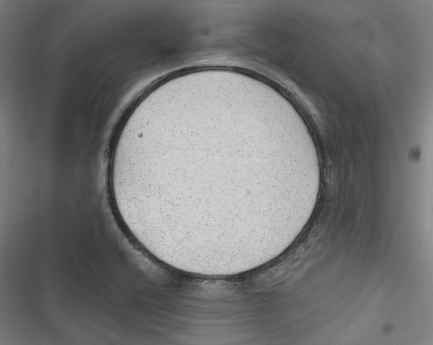 X0000116791416201001151052