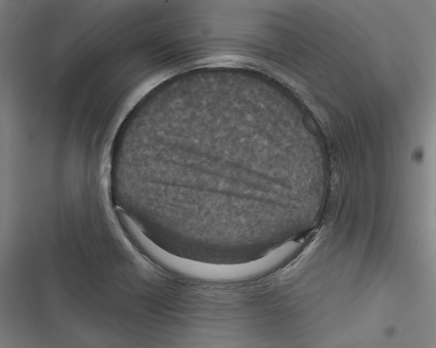 X0000116791418201001151052