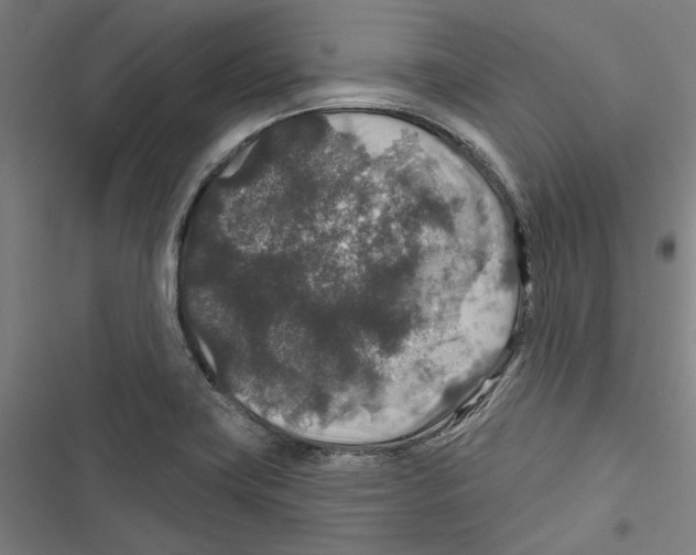 X0000116791419201001151052