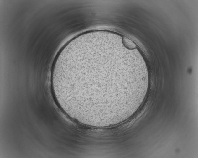 X0000116791420201001151052