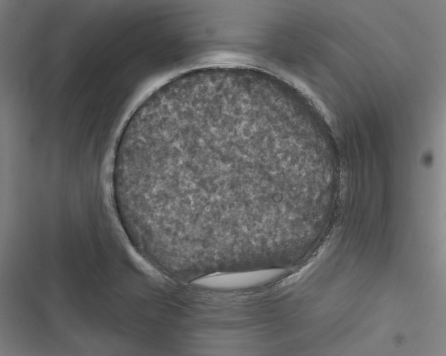 X0000116791421201001151052