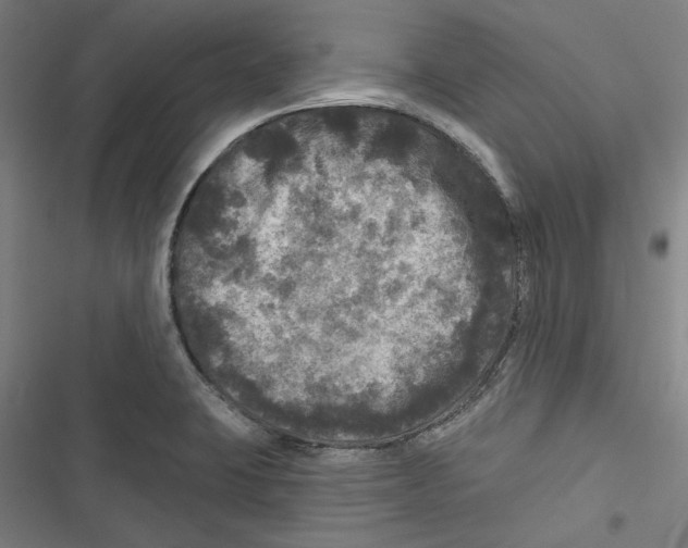 X0000116791423201001151052