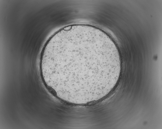 X0000116791424201001151052