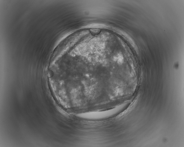 X0000116791425201001151052