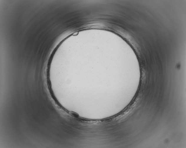 X0000116791426201001151052