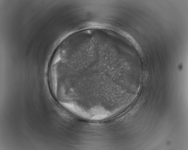 X0000116791427201001151052