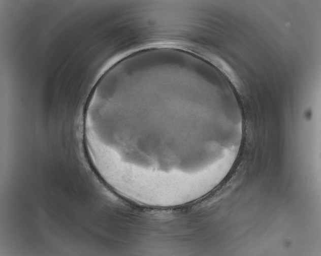 X0000116791428201001151052