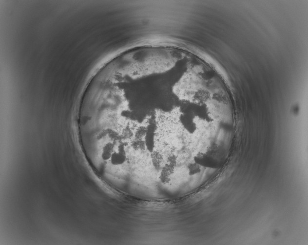 X0000116791429201001151052