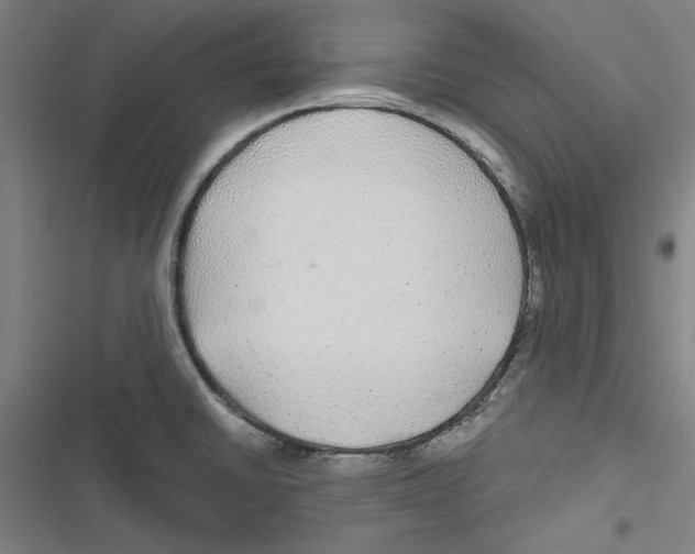 X0000116791430201001151052