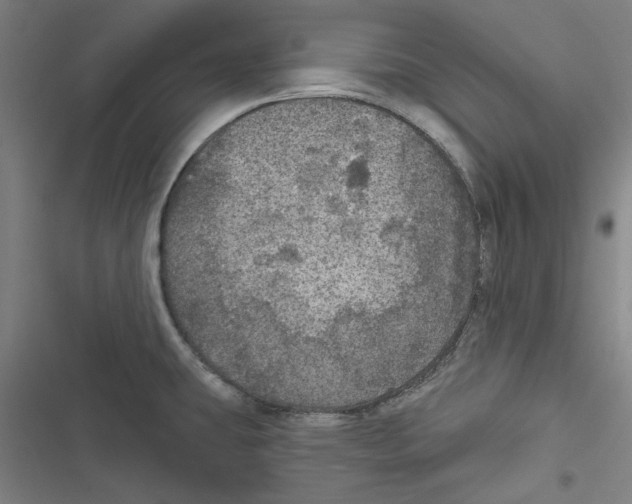 X0000116791431201001151052