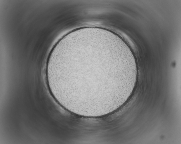 X0000116791432201001151052