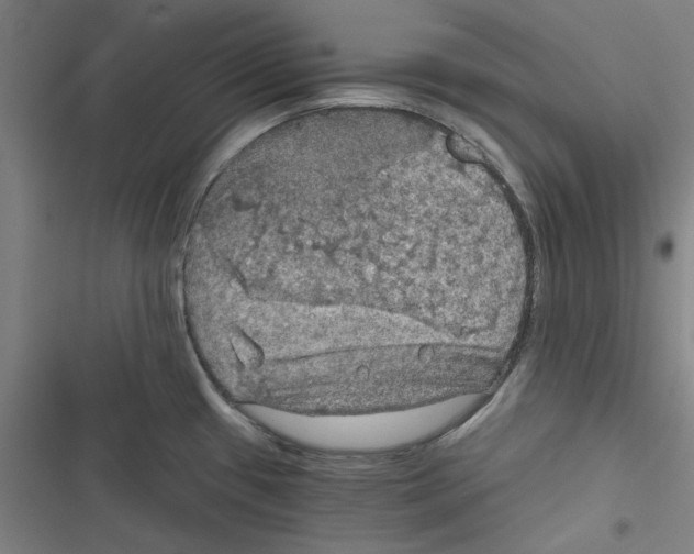 X0000116791433201001151052