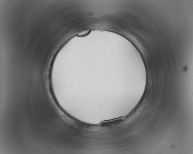 X0000116791434201001151052