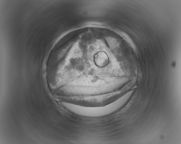 X0000116791435201001151052