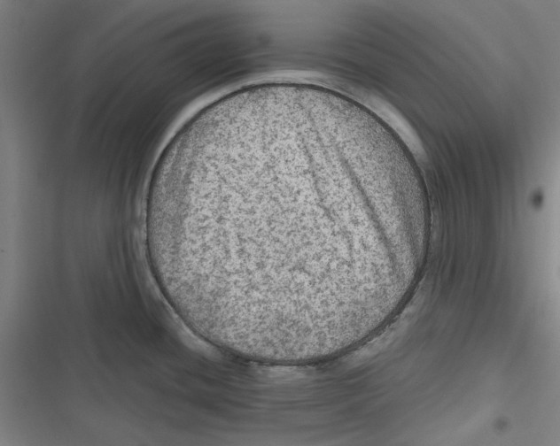 X0000116791436201001151052