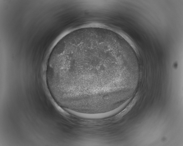 X0000116791438201001151052