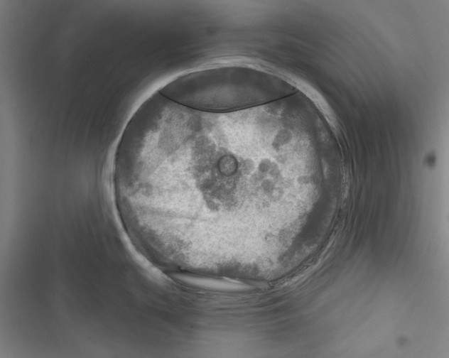 X0000116791439201001151052