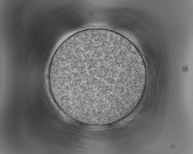 X0000116791440201001151052