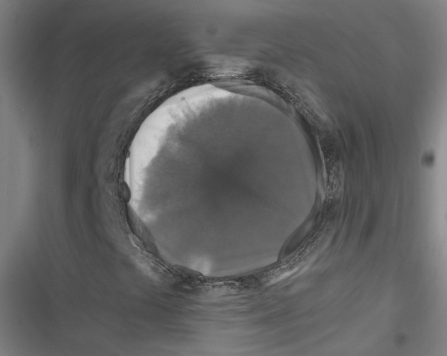 X0000116791441201001151052