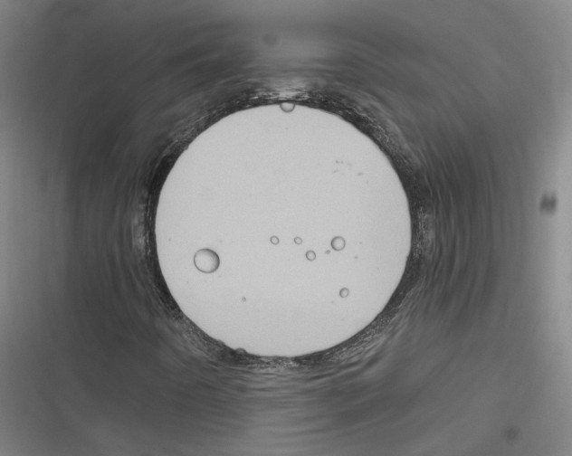 X0000116791442201001151052