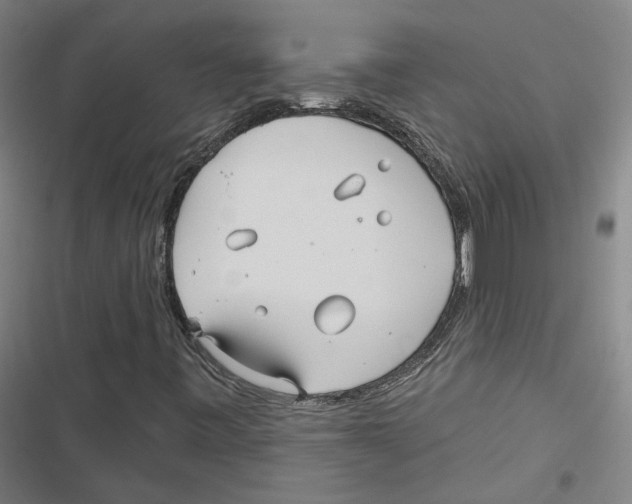 X0000116791443201001151052