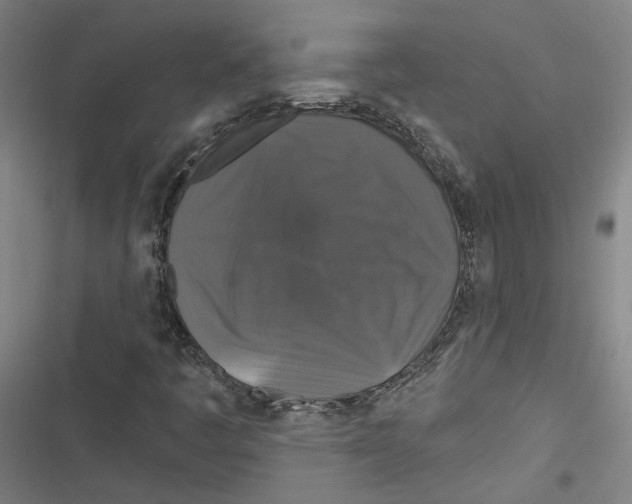 X0000116791445201001151052