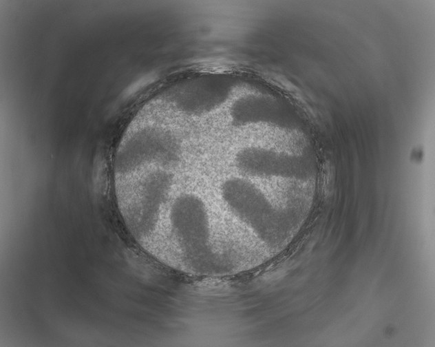 X0000116791446201001151052