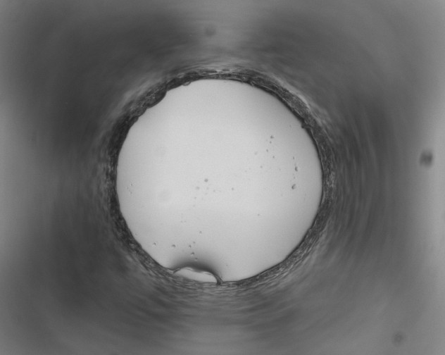 X0000116791447201001151052