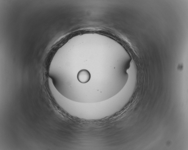 X0000116791448201001151052