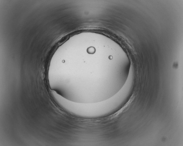 X0000116791449201001151051