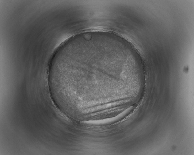 X0000116791450201001151051