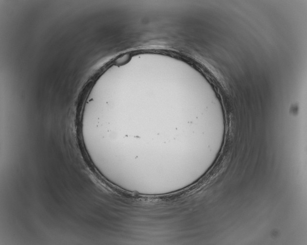 X0000116791452201001151051