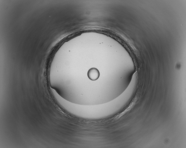 X0000116791453201001151051