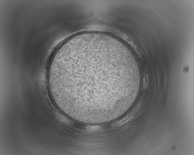 X0000116791454201001151051