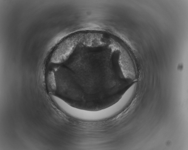 X0000116791455201001151051