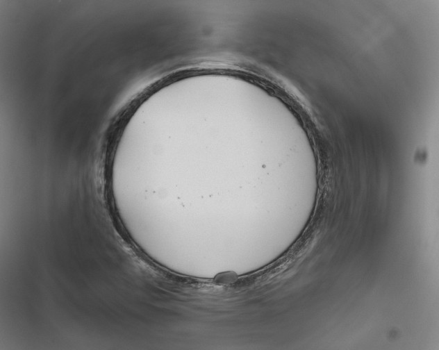 X0000116791456201001151051