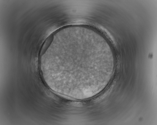 X0000116791457201001151051