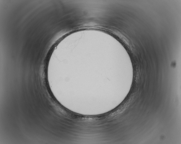 X0000116791458201001151051