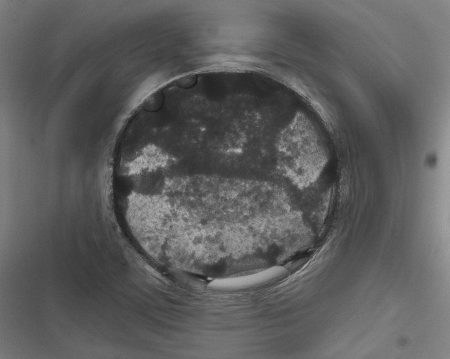 X0000116791459201001151051