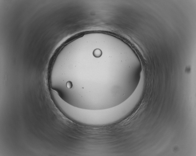 X0000116791460201001151051