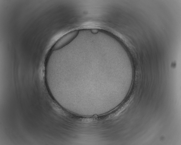 X0000116791461201001151051