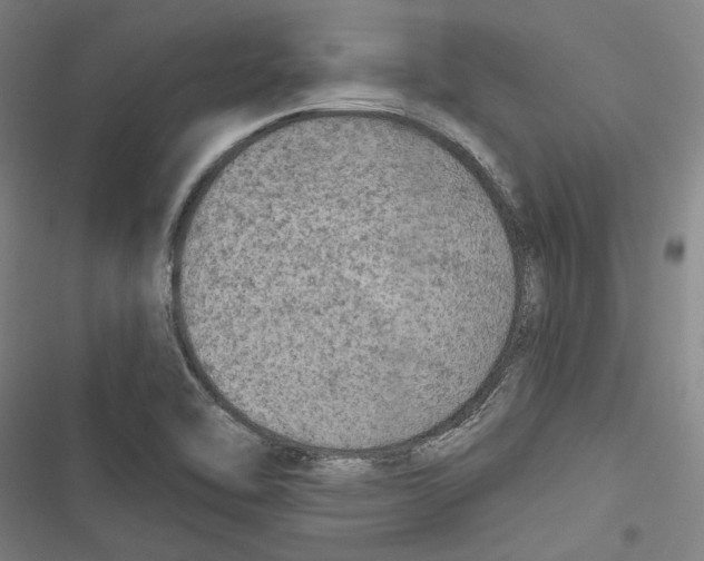 X0000116791462201001151051