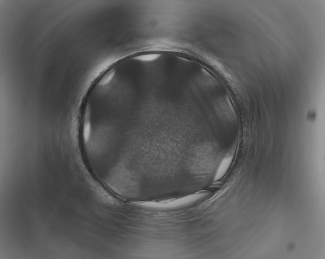 X0000116791463201001151051