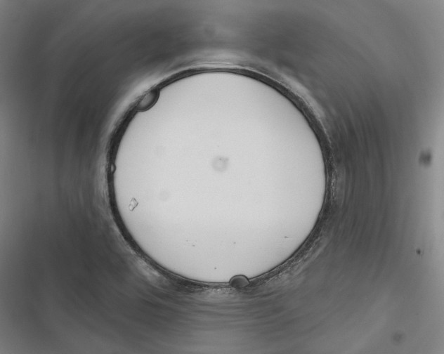 X0000116791464201001151051