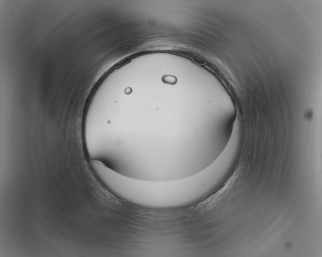 X0000116791465201001151051