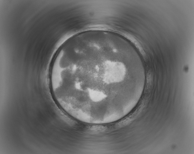 X0000116791466201001151051