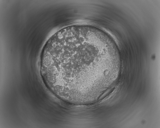 X0000116791467201001151051