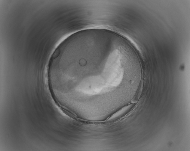 X0000116791468201001151051